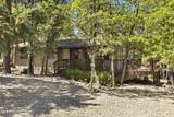 17670 Mustang Road - Photo 4