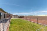 11576 Monarch Drive - Photo 47