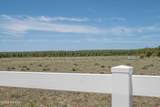 11576 Monarch Drive - Photo 58