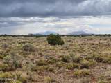 3975 Silver Valley Road - Photo 1