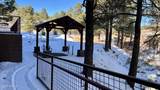 1650 Ponderosa Parkway - Photo 24