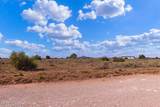 389 Woodland Ranch Road - Photo 13