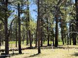 14640 Keith Drive - Photo 4