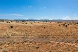 625, 699, 737, 775 N Laguna Drive - Photo 13