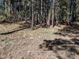 4405 Dreamy Lane - Photo 6