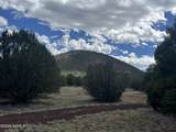 7432 Daisy Drive - Photo 4