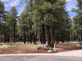 3222 Grey Hawk - Photo 12