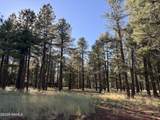 3222 Grey Hawk - Photo 16
