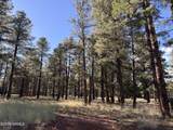 3222 Grey Hawk - Photo 4
