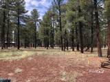 3222 Grey Hawk - Photo 9