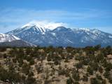 12901 Stockmens Road - Photo 1