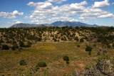 12901 Stockmens Road - Photo 11