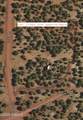 10279 Overlook Drive - Photo 3