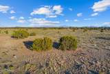 4532 Indian Meadows Road - Photo 20