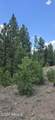 00 No Name - Photo 21