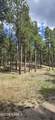 00 No Name - Photo 22