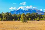 7289 Dreamview Trail - Photo 4