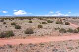 3202 Canyon Vista Road - Photo 15