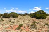 3202 Canyon Vista Road - Photo 19