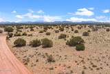 3202 Canyon Vista Road - Photo 2