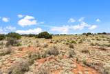 3202 Canyon Vista Road - Photo 20