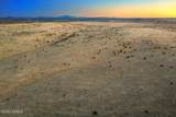 Xxxx Starlit Trail - Photo 10