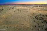 Xxxx Starlit Trail - Photo 12