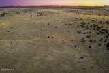 Xxxx Starlit Trail - Photo 13