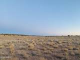 Xxxx Starlit Trail - Photo 17