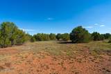 1173 Tamarack Street - Photo 4