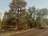 645 Trout Creek Road - Photo 1
