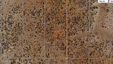 2260 Kaibab Road - Photo 5