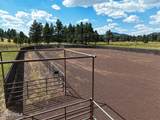 14092 Keith Drive - Photo 8