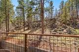 789 Forest View Drive - Photo 56