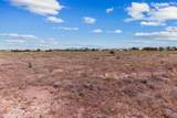 54 Us Highway 180 - Photo 31