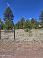 2335 Ash Lane - Photo 2