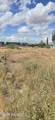 314 1st Street - Photo 1