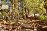 4375 Burning Tree Loop - Photo 83