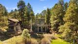 4375 Burning Tree Loop - Photo 10