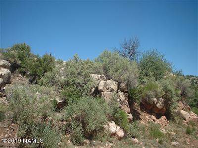 6443 Black Burro Loop - Photo 1