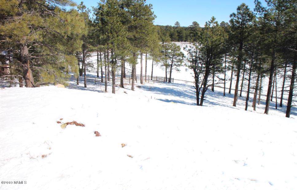 3959 Marble Canyon Trail - Photo 1