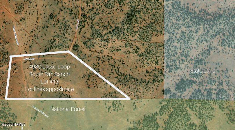 4980 Lasso Loop Road - Photo 1