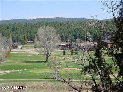 115 Navajo Road - Photo 1