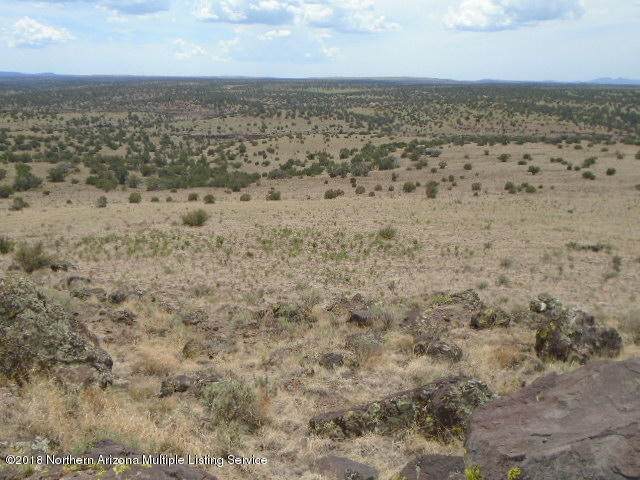 6518 Deer Forest Drive - Photo 1