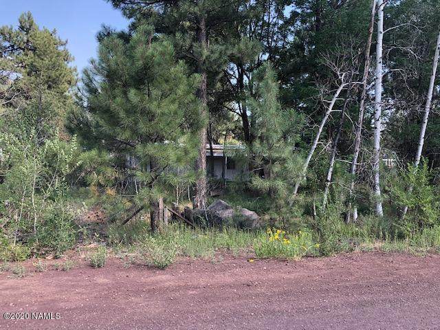 2533 Moenkopi Trail - Photo 1