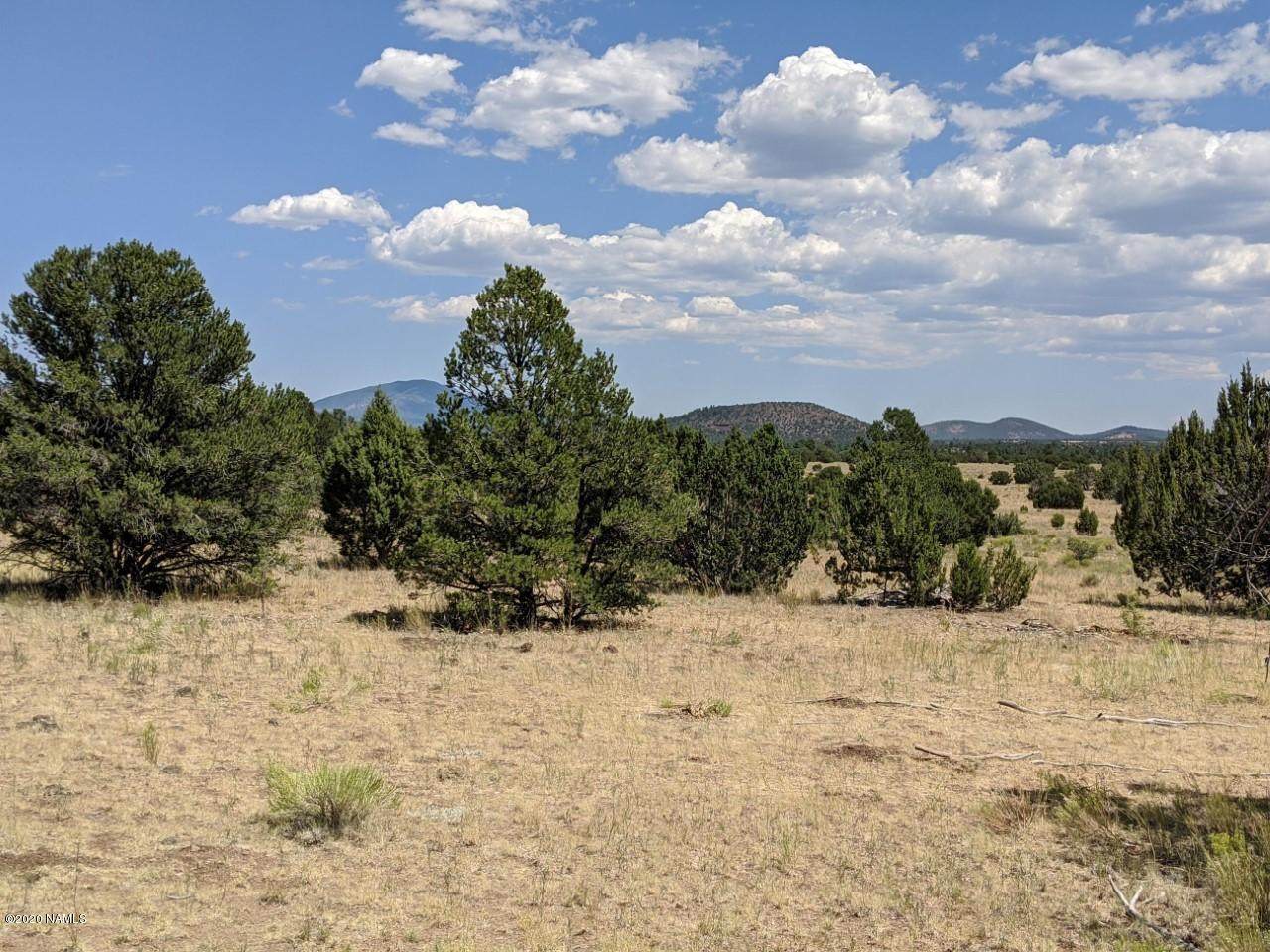 2390 Cosmos Way - Photo 1