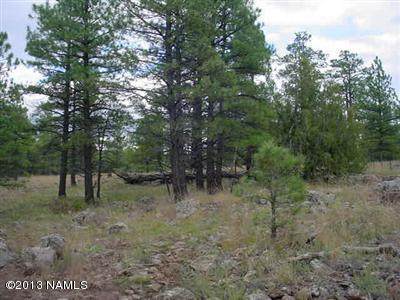 135 Navajo Road - Photo 1