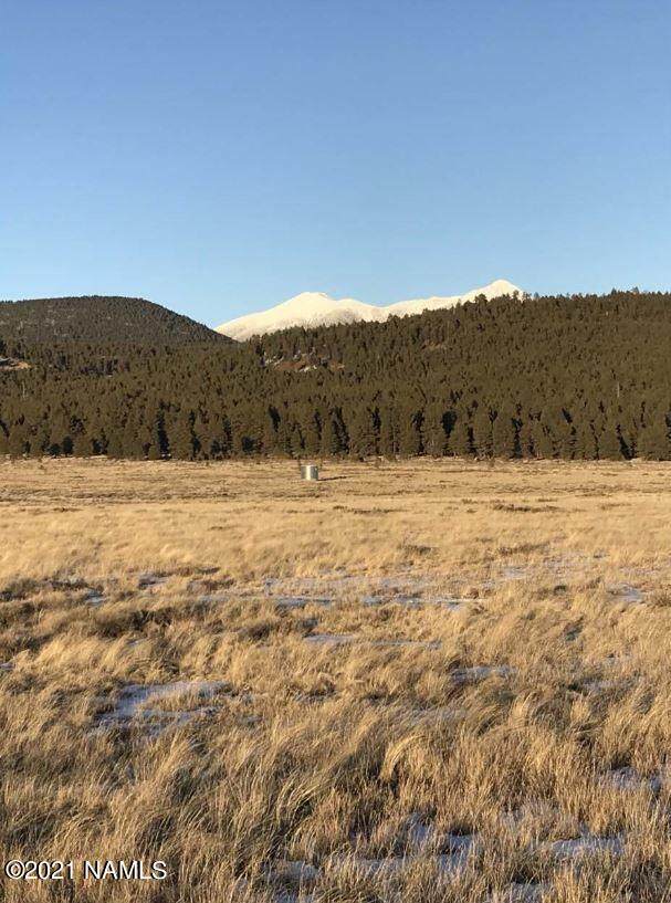 0 Shadow Mountain Drive - Photo 1