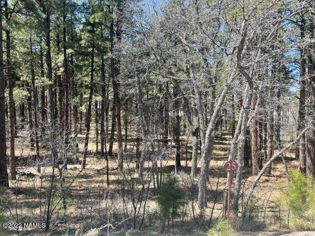 1066 Timbernook Crossing - Photo 1