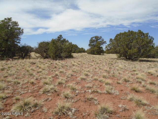 4084 Elmwood & 2 Lots On Oakdale Road - Photo 1